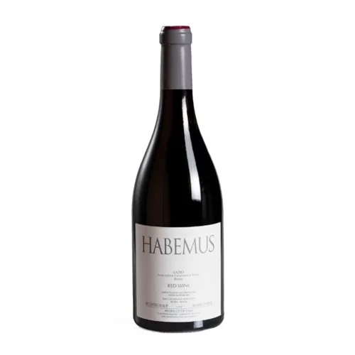 San Giovenale Habemus Red Wine 2021