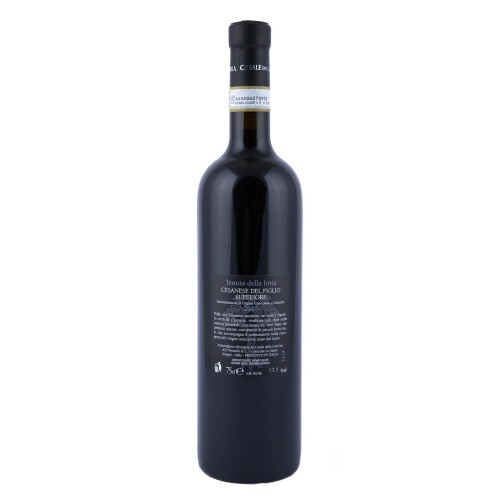 Casale della Ioria Cesanese Del Piglio Superiore DOCG 2015