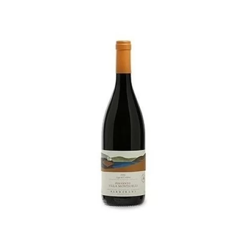 Vini Italia Umbria Rosso Polvento Villa Monticelli sagiovese Cabernet Sauvignon Azienda Agricola Barberani
