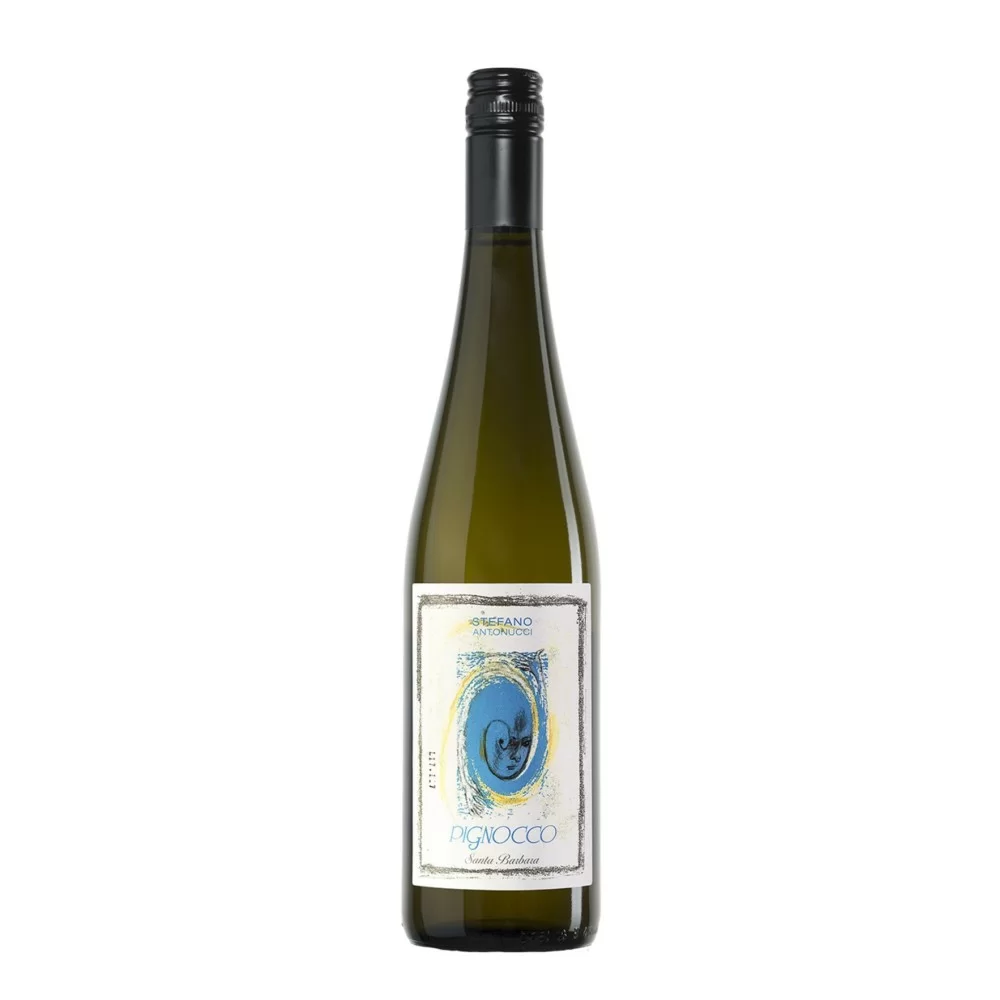 Santa Barbara Stefano Antonucci Verdicchio dei Castelli di Jesi DOC Pignocco Santa Barbara Stefano Antonucci Verdicchio dei Castelli di Jesi DOC Pignocco