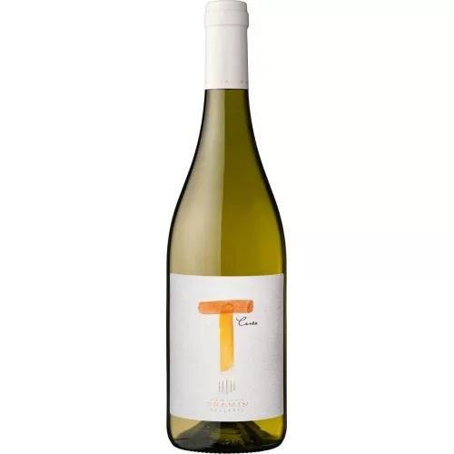 Tramin T Cuvée Vigneto delle Dolomiti IGT