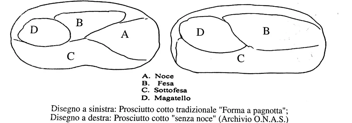 Prosciutto Cotto, saperne di più per scegliere meglio.